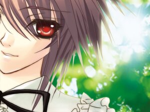 Rating: Safe Score: 0 Tags: 1girl bangs brown_hair close-up eyebrows_visible_through_hair frills image looking_at_viewer red_eyes smile solo souseiseki User: admin