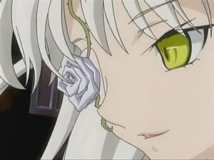 Rating: Safe Score: 0 Tags: 1girl blue_rose close-up face flower image kirakishou pink_rose rose solo white_flower white_rose yellow_eyes User: admin