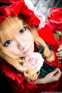 Rating: Safe Score: 0 Tags: 1girl bangs blonde_hair blue_eyes blurry bow eyelashes face flower holding_flower lips looking_at_viewer portrait red_flower red_rose rose shinku smile solo white_rose User: admin