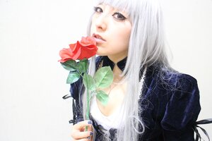 Rating: Safe Score: 0 Tags: 1girl bangs flower holding holding_flower lips long_hair nail_polish plant solo striped suigintou upper_body white_hair User: admin