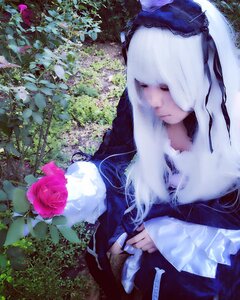 Rating: Safe Score: 0 Tags: 1girl closed_eyes closed_mouth flower long_hair rose solo suigintou white_hair User: admin