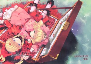 Rating: Safe Score: 0 Tags: 2girls blonde_hair blue_eyes bow dress flower frills hat hina_ichigo hinaichigo image long_hair lying multiple_girls pair petals pink_bow pink_dress red_dress ribbon rose rose_petals shinku twintails User: admin