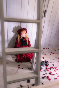 Rating: Safe Score: 0 Tags: 1girl blonde_hair closed_eyes dress flower long_hair petals rose_petals shinku sitting solo twintails User: admin