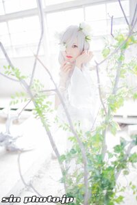 Rating: Safe Score: 0 Tags: 1girl blurry blurry_background blurry_foreground depth_of_field flower kirakishou leaf looking_at_viewer plant sitting solo watermark web_address white_dress white_hair User: admin