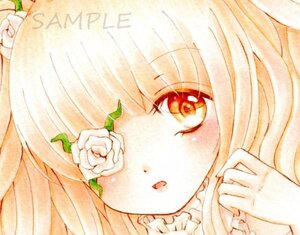 Rating: Safe Score: 0 Tags: 1girl bangs close-up eyebrows_visible_through_hair flower image kirakishou long_hair looking_at_viewer marker_(medium) rose solo traditional_media white_flower white_rose User: admin