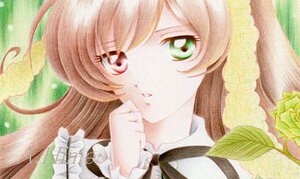 Rating: Safe Score: 0 Tags: 1girl bangs black_ribbon brown_hair fence flower green_eyes image long_hair looking_at_viewer parted_lips ribbon solo suiseiseki User: admin