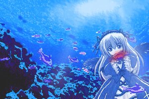 Rating: Safe Score: 0 Tags: 1girl black_wings blue_theme dress hairband image long_hair long_sleeves ribbon rose solo suigintou wings User: admin