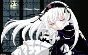 Rating: Safe Score: 3 Tags: 1girl artist_request black_ribbon dress flower frilled_sleeves frills hairband highres image long_hair long_sleeves looking_at_viewer pale_skin pink_eyes ribbon rose rozen_maiden silver_hair smile solo suigintou twitter_username white_hair wings User: admin