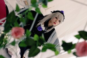 Rating: Safe Score: 0 Tags: 1girl 3d bangs blurry blurry_background blurry_foreground depth_of_field dress flower frills hairband lips long_hair motion_blur photo red_lips rose solo suigintou User: admin