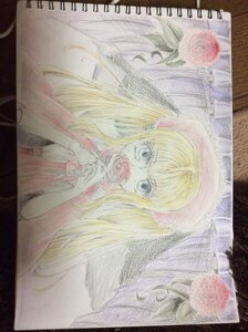 Rating: Safe Score: 0 Tags: 1girl bangs blonde_hair blue_eyes dress flower image long_hair photo red_flower red_rose rose shinku solo traditional_media twintails upper_body User: admin