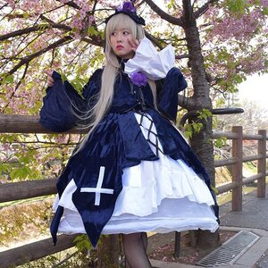 Rating: Safe Score: 0 Tags: 1girl black_legwear blonde_hair dress flower lips long_hair pantyhose realistic solo suigintou traditional_media tree User: admin