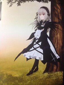Rating: Safe Score: 0 Tags: 1girl black_dress black_footwear black_wings closed_mouth dress flower frills grass hairband image long_hair long_sleeves red_eyes ribbon rose silver_hair solo standing suigintou wings User: admin