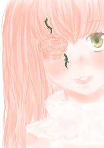 Rating: Safe Score: 0 Tags: 1girl bangs close-up face flower image kirakishou leaf lips looking_at_viewer pink_flower pink_hair pink_rose rose simple_background smile solo white_background User: admin