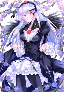 Rating: Safe Score: 3 Tags: 1girl black_dress black_flower black_legwear black_rose blue_flower blue_rose breasts dress flower frills gothic_lolita hairband image lolita_fashion long_hair long_sleeves looking_at_viewer pantyhose purple_flower purple_rose red_eyes rose silver_hair smile solo suigintou thorns white_rose wings User: admin