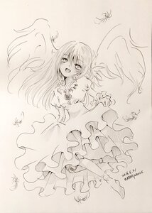 Rating: Safe Score: 0 Tags: 1girl artist_name blush bug butterfly dated dress frilled_dress full_body image insect long_hair monochrome open_mouth signature smile solo suigintou traditional_media wings User: admin