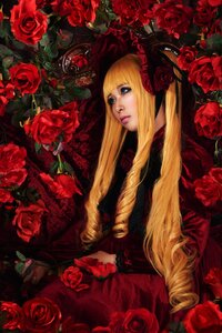 Rating: Safe Score: 0 Tags: 1girl black_rose blonde_hair blue_eyes camellia drill_hair flower lips long_hair orange_flower pink_rose purple_rose red_flower red_rose red_theme rose rose_petals shinku solo thorns yellow_flower yellow_rose User: admin