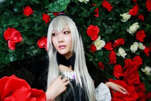 Rating: Safe Score: 0 Tags: 1girl dress flower lips long_hair realistic red_eyes red_flower red_rose rose solo suigintou white_hair User: admin