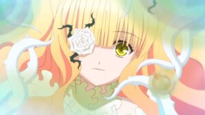 Rating: Safe Score: 0 Tags: 1girl bangs blonde_hair blurry depth_of_field dress eyepatch flower image kirakishou long_hair rose solo thorns User: admin