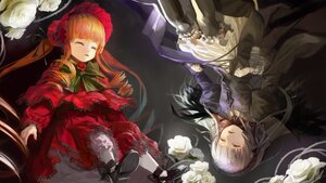 Rating: Safe Score: 0 Tags: 2girls blonde_hair bonnet closed_eyes dress flower frills hairband image long_hair long_sleeves multiple_girls pair rose shinku silver_hair sleeping suigintou wings User: admin