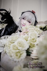 Rating: Safe Score: 0 Tags: 1girl blurry blurry_foreground closed_mouth depth_of_field dress flower frills hairband long_hair long_sleeves looking_at_viewer red_eyes rose silver_hair solo suigintou User: admin