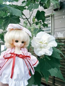Rating: Safe Score: 0 Tags: 1girl alice_margatroid blonde_hair capelet doll dress expressionless flower green_eyes hat hinaichigo leaf looking_at_viewer plant ribbon short_hair solo white_flower User: admin