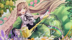 Rating: Safe Score: 0 Tags: 1girl :d brown_hair dress flower frills green_dress green_eyes heterochromia image long_hair long_sleeves looking_at_viewer open_mouth smile solo suiseiseki very_long_hair watering_can User: admin