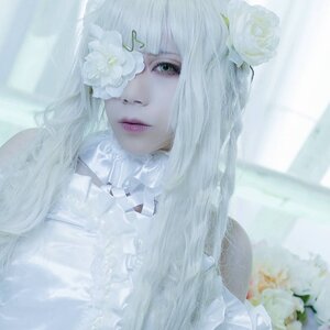 Rating: Safe Score: 0 Tags: 1girl bangs eyelashes flower green_eyes hair_flower hair_ornament kirakishou lips looking_at_viewer parted_lips red_lips solo white_flower white_hair white_rose white_theme User: admin