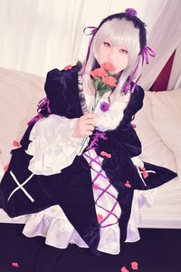 Rating: Safe Score: 0 Tags: 1girl black_dress dress flower frills gothic_lolita hairband holding holding_flower lolita_fashion long_hair long_sleeves looking_at_viewer petals rose silver_hair solo suigintou User: admin