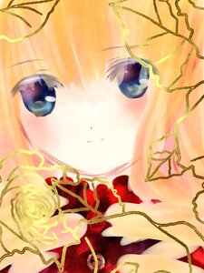 Rating: Safe Score: 0 Tags: 1girl blonde_hair close-up face image rose shinku solo User: admin