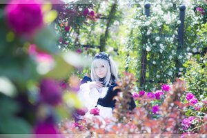 Rating: Safe Score: 0 Tags: 1girl bangs black_dress blurry blurry_background depth_of_field dress flower long_hair long_sleeves sitting solo stained_glass suigintou wisteria User: admin