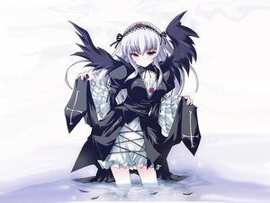 Rating: Safe Score: 0 Tags: 1girl black_wings blush breasts cross-laced_clothes detached_collar dress flower frilled_sleeves frills hairband image long_hair long_sleeves looking_at_viewer pink_eyes ribbon rose silver_hair solo suigintou wading wings User: admin