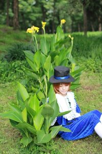 Rating: Safe Score: 0 Tags: 1girl brown_hair closed_eyes day dress flower frills hat outdoors sitting smile solo souseiseki top_hat User: admin