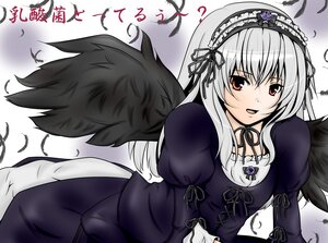 Rating: Safe Score: 0 Tags: 1girl ? black_ribbon black_wings dress feathers flower frills hairband image juliet_sleeves lolita_hairband long_hair long_sleeves looking_at_viewer open_mouth puffy_sleeves red_eyes ribbon rose silver_hair solo suigintou wings User: admin