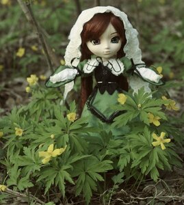 Rating: Safe Score: 0 Tags: 1girl brown_hair doll dress expressionless flower green_dress long_sleeves looking_at_viewer outdoors plant puffy_sleeves solo suiseiseki User: admin