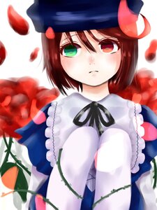 Rating: Safe Score: 0 Tags: 1girl brown_hair dress flower green_eyes hat heterochromia image looking_at_viewer petals red_eyes red_flower ribbon short_hair solo souseiseki upper_body User: admin