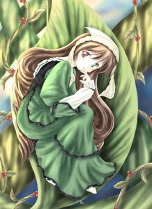 Rating: Safe Score: 0 Tags: 1girl brown_hair dress flower frills full_body green_dress green_eyes heterochromia image long_hair long_sleeves looking_at_viewer red_eyes solo suiseiseki very_long_hair User: admin