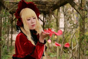 Rating: Safe Score: 0 Tags: 1girl bangs blonde_hair blurry blurry_background bonnet capelet closed_eyes depth_of_field dress flower lips long_hair long_sleeves petals realistic red_dress red_flower red_rose rose shinku solo upper_body User: admin