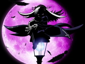 Rating: Safe Score: 0 Tags: 1girl black_feathers black_wings cross dress feathers flower full_moon hairband image long_hair moon night pink_eyes red_moon solo suigintou wings User: admin