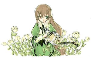 Rating: Safe Score: 0 Tags: 1girl brown_hair dress flower frills green_dress green_eyes heterochromia image long_hair long_sleeves looking_at_viewer plant red_eyes ribbon simple_background solo suiseiseki very_long_hair watering_can white_background User: admin