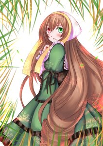 Rating: Safe Score: 0 Tags: 1girl blush brown_hair dress frills green_dress green_eyes head_scarf heterochromia image long_hair long_sleeves looking_at_viewer looking_back plant red_eyes ribbon smile solo suiseiseki very_long_hair User: admin