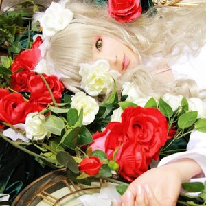 Rating: Safe Score: 0 Tags: 1girl auto_tagged bangs blonde_hair flower fruit green_eyes kirakishou leaf lips long_hair looking_at_viewer plant red_flower red_lips red_rose rose solo User: admin