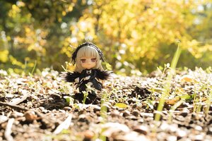 Rating: Safe Score: 0 Tags: 1girl black_dress black_ribbon blurry blurry_background blurry_foreground depth_of_field doll dress flower flower_field frills hairband long_hair long_sleeves looking_at_viewer red_eyes ribbon silver_hair sitting solo suigintou wings User: admin