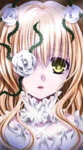 Rating: Safe Score: 0 Tags: 1girl blonde_hair flower frills hair_flower hair_ornament image kirakishou long_hair rose solo thorns white_flower white_rose User: admin