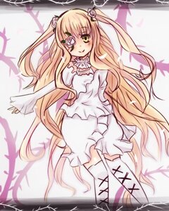 Rating: Safe Score: 0 Tags: 1girl blonde_hair dress eyepatch flower frills hair_flower hair_ornament image kirakishou long_hair long_sleeves rose smile solo thighhighs thorns two_side_up very_long_hair vines white_dress yellow_eyes zettai_ryouiki User: admin