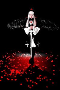 Rating: Safe Score: 0 Tags: 1girl black_background flower full_body long_hair long_sleeves petals solo standing suigintou white_hair User: admin