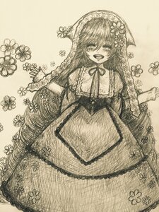 Rating: Safe Score: 0 Tags: 1girl blush dress flower frills image long_hair monochrome open_mouth ribbon smile solo suiseiseki traditional_media very_long_hair User: admin