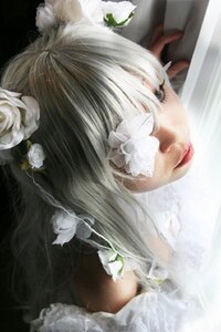 Rating: Safe Score: 0 Tags: 1girl animal_ears flower hair_flower hair_ornament kirakishou portrait rose solo white_flower white_rose User: admin