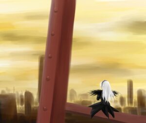 Rating: Safe Score: 0 Tags: 1girl dress image long_hair long_sleeves outdoors sky solo standing suigintou sunset wings User: admin