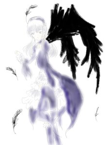 Rating: Safe Score: 0 Tags: 1girl black_wings dress feathered_wings feathers flower frills hairband image juliet_sleeves long_hair long_sleeves looking_at_viewer puffy_sleeves signature simple_background solo suigintou white_background wings User: admin