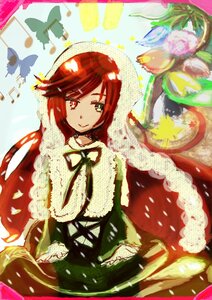 Rating: Safe Score: 0 Tags: 1girl blue_butterfly bug butterfly dress flower heterochromia hood image insect long_hair red_eyes smile solo suiseiseki User: admin